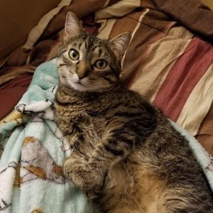 Meet your Posher, Hailey